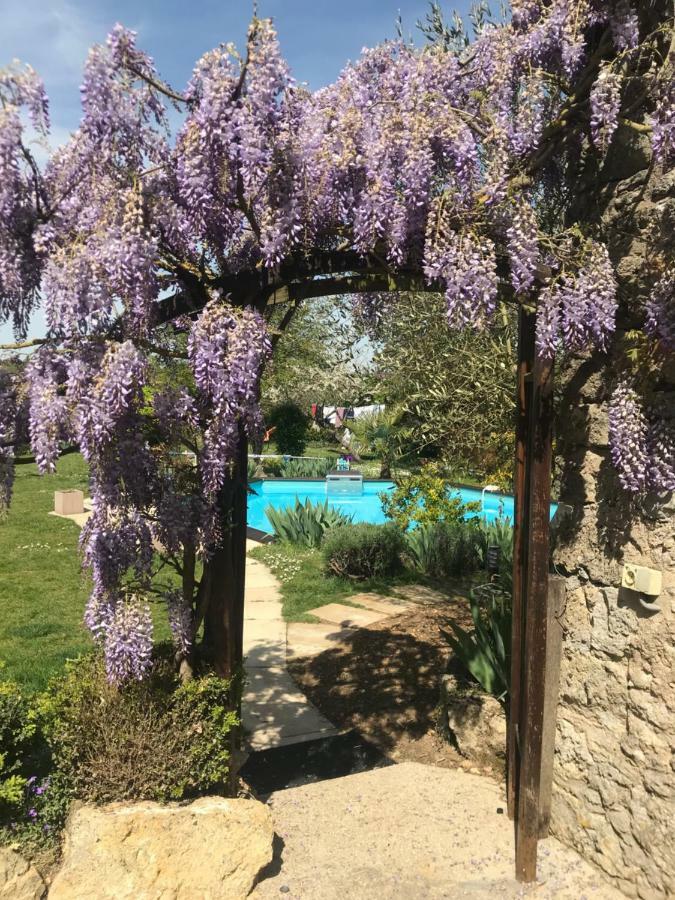 Chambres D'Hotes La Vallee Des Vignes Monthou-sur-Cher Buitenkant foto